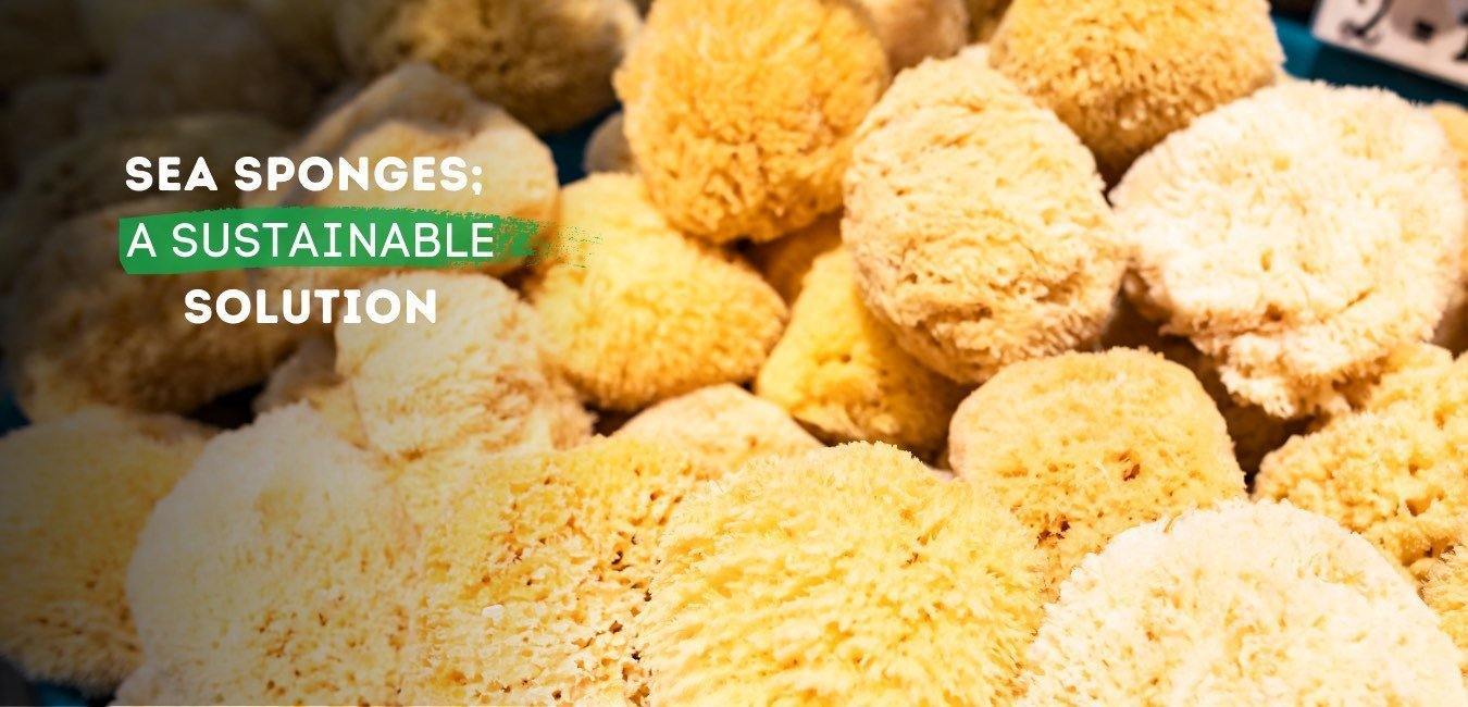 Sea Sponges; A Sustainable Solution - Eco Bath London