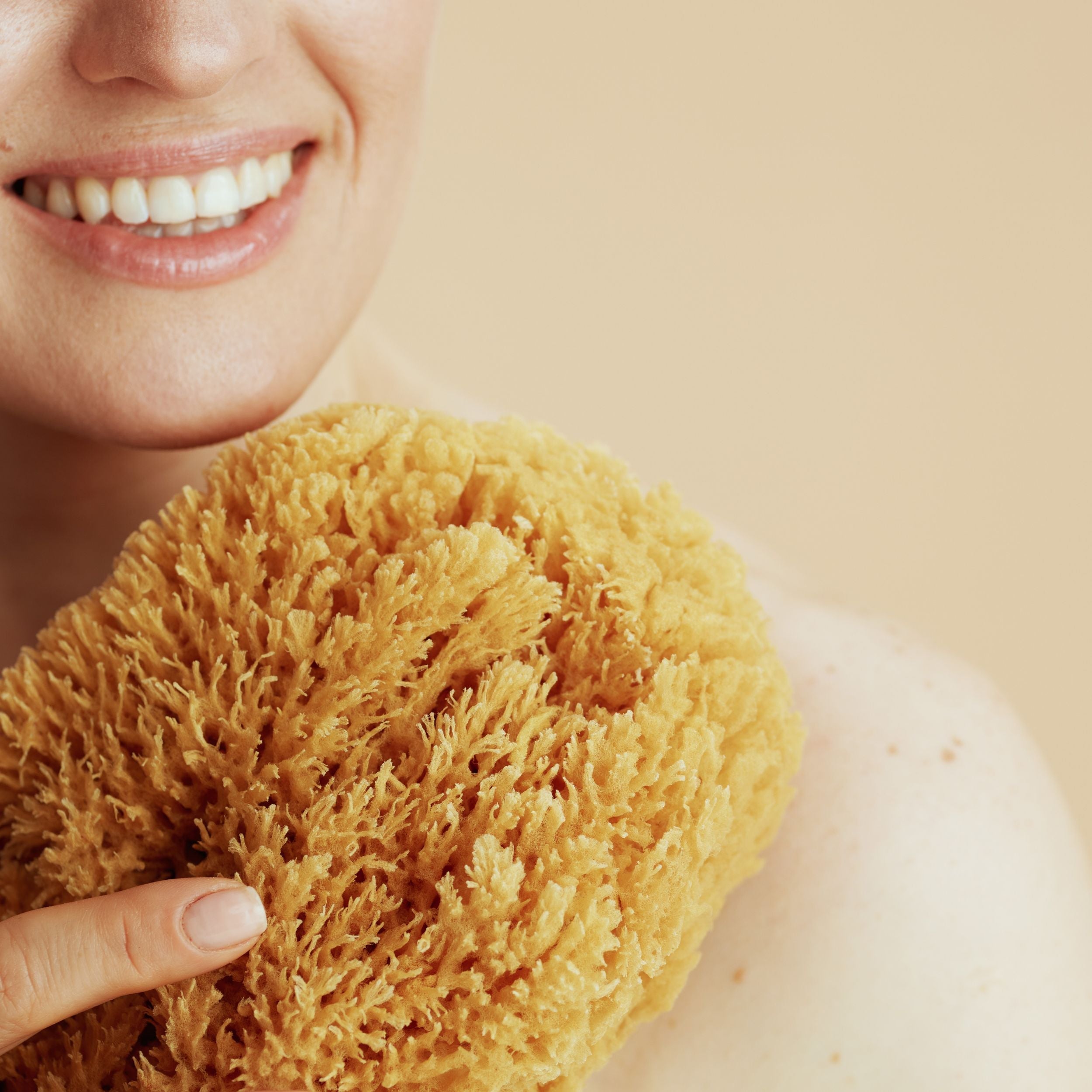 Natural Sea Sponges - Eco Bath London
