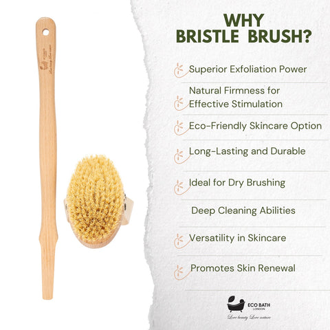 Eco Bath Natural Bristle Body Brush Detachable with Soft Bristles