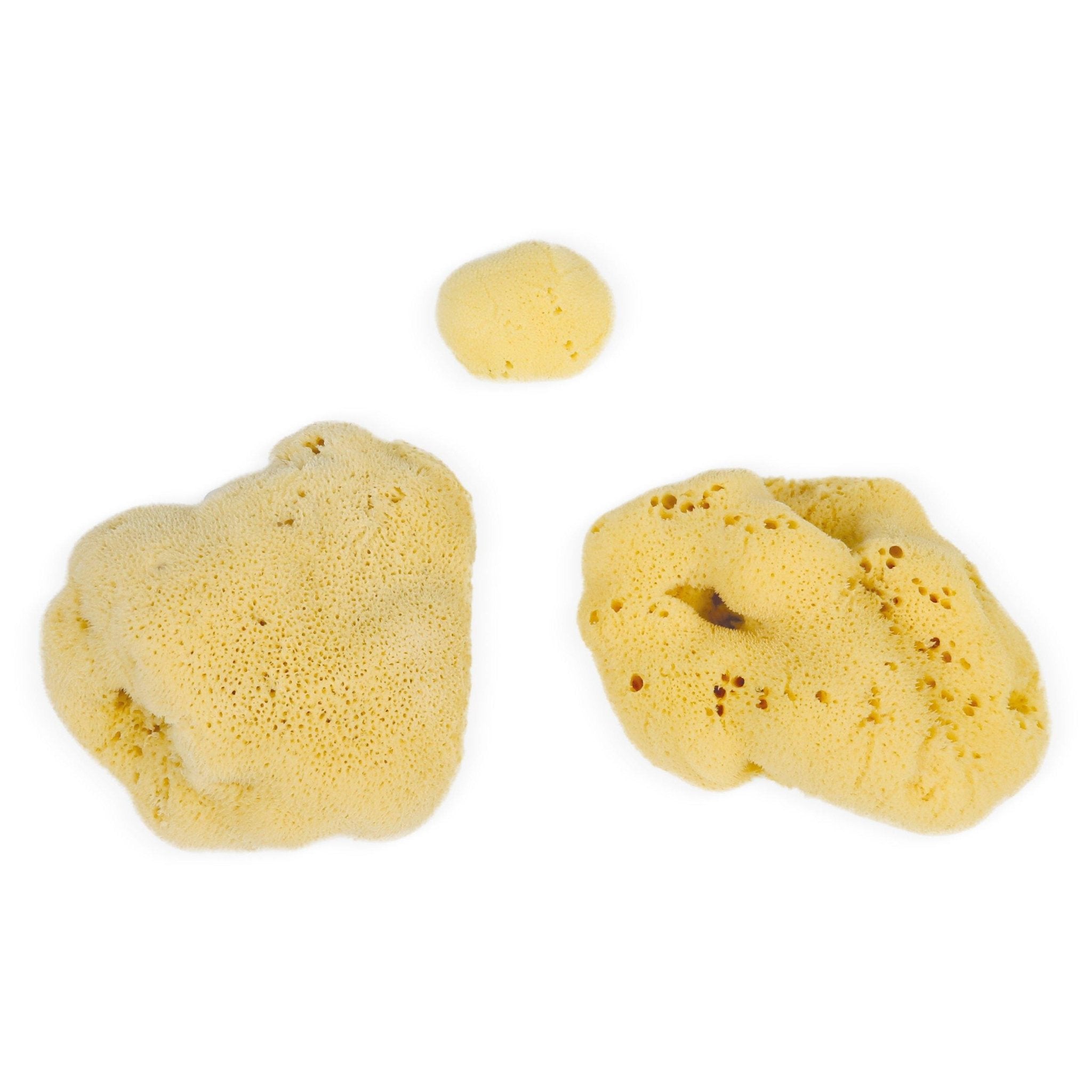 Eco Bath Natural Sea Sponges - Eco Bath London