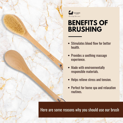 Natural Body Brush for Dry Brushing and Showers - Eco Bath London